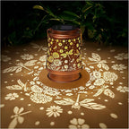 Dragonfly Solar Lantern Set, Charming Yard Lighting