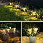 Solar Yard Path Lights 8-Pack, Waterproof