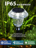 6-Pack Solar Pathway Lights, Waterproof LED Garden Lights
