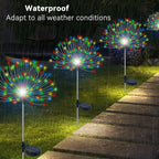 Multicolor Solar Pathway Lights 2-Pack, Garden LED