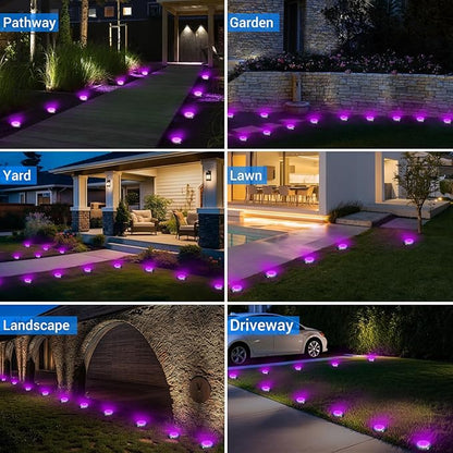 Peasur Solar Ground Lights Outdoor, 2 Pack Flat Solar Powered Disc Lights, IP68 Waterproof, Anti-Rust, Landscape Lighting for Pathway Garden Yard Lawn Walkway Landscape Driveway, Purple