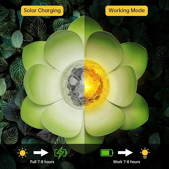 Solar Landscape Lights for Driveway