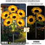 Solar Driveway Path Lights 6-Pack, Waterproof