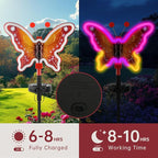 Red Solar Pathway Lights 2-Pack, Garden LED