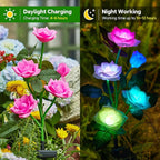 3-Pack Solar Pathway Lights, Waterproof LED Walkway Lights