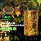 Dragonfly Solar Hanging Lanterns, Charming Patio Decor