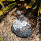 Garden Solar Lawn Figurine Light, Waterproof