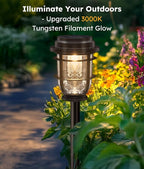 6-Pack IP65 Solar Landscape Lights for Yard