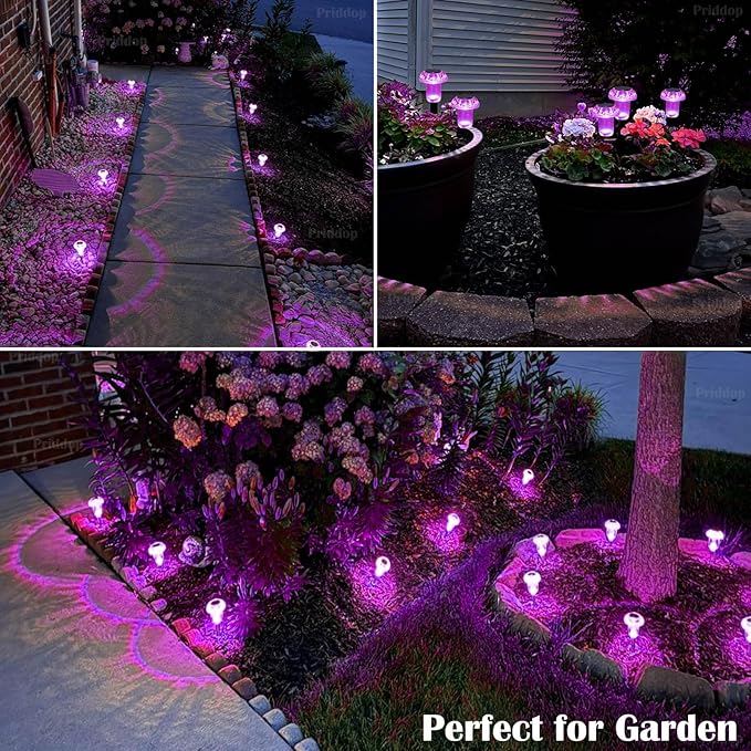 8-Pack Solar Path Lights, Outdoor Garden LED