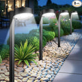 8-Pack Cool White Solar Path Lights, Outdoor Yard LED