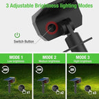 Solar Motion Sensor Landscape Spotlights 6-Pack, LED