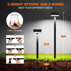 8-Pack Warm White Solar Path Lights, Outdoor Garden LED