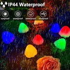 Christmas Pathway String Lights, 55ft C9