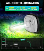 Cool White Solar Pathway Lights 8-Pack, Garden LED