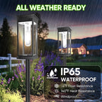 Solar Yard Path Lights 8-Pack, IP65 Waterproof