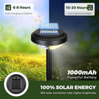 Cool White Solar Pathway Lights 8-Pack, Garden LED
