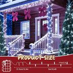 Battery Christmas Lights, 16.4ft Cool White Timer