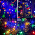 Christmas Pathway String Lights, 50ft C9
