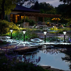 Cold White Solar Pathway Lights 12-Pack, Walkway LED