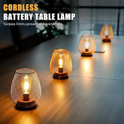 JHY DESIGN Set of 2 Metal Cage LED Lantern Battery Powered Cordless Accent Light with LED and 6-Hours Timer Great for Weddings Parties Patio Events for Indoors Outdoors