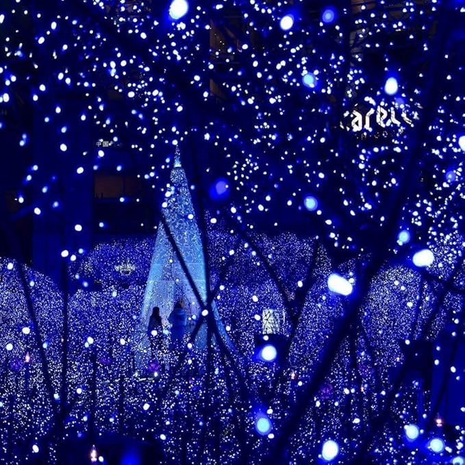 Joomer Blue Battery Christmas Lights, 66ft 200LED Fairy Lights Battery Operated Timer 8 Modes Waterproof for Outdoor Home Garden Party Holiday Christmas Trees Decoration