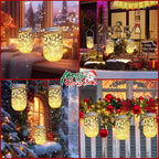 12-Pack Yard String Lights, Weatherproof LED