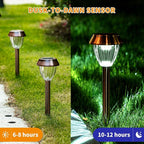 Cool White Solar Pathway Lights 6-Pack, Garden LED