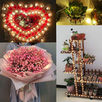 Christmas Fairy Lights 24-Pack, 2ft 30 LED Battery Twinkle Lights