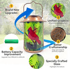 Cardinal Solar Yard Lanterns, Decorative Waterproof LED