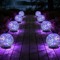 Solar Landscape Lights for Yard