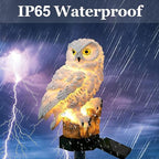 Solar Pathway Lights, Waterproof LED Walkway Lights