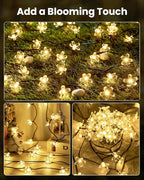 Christmas Patio String Lights 2-Pack, 52ft 120 LED Waterproof