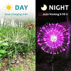 2-Pack Solar Path Lights, Outdoor Garden LED