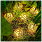 Solar Driveway Path Lights 8-Pack, Waterproof