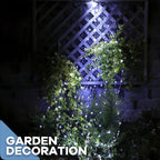 White String Lightsft Backyard LED