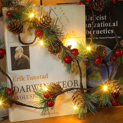 Christmas Fairy Lights, 5ft 20 LED Battery Twinkle Lights