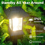 6-Pack Solar Landscape Lights for Yard