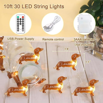 Christmas Yard String Lights, 10ft 30 LED Waterproof