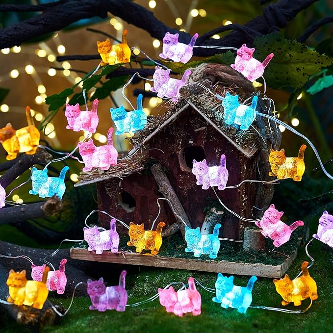 Christmas Backyard String Lights, 10ft 30 LED Waterproof