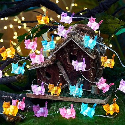 Christmas Backyard String Lights, 10ft 30 LED Waterproof