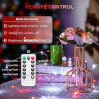 Christmas Fairy Lights 2-Pack, 66ft 200 LED Battery Twinkle Lights