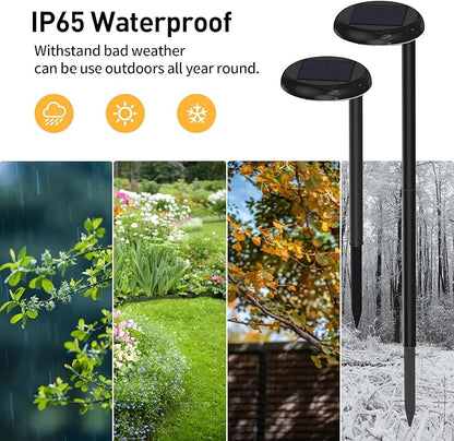 Solar Pathway Lights - Super Bright 300 Lumens with 2-in-1 Warm White & Daylight Color, Solar Path Lights for Pathway, Sidewalk, Driveway, Garden,Parterre etc,Landscape Lighting (2-Pack)
