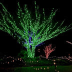 Outdoor Edison String Lights, Weatherproof