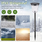 2-Pack Warm White Solar Path Lights, Outdoor Driveway LED