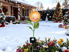 Solar Pathway Lights, Yard LED