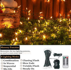 Warm White Christmas Lights, 33ft LED 8-Mode