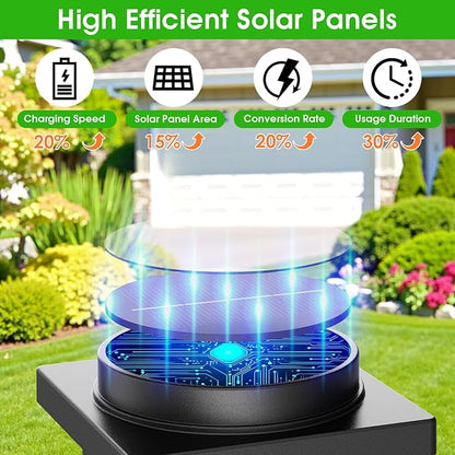Solar Pathway Lights Outdoor, 8 Pack Solar Powered Garden Lights Waterproof, Auto On/Off Outdoor Landscape Lights for Patio, Walkway, Driveway, Lawn, Pool Decor. (Warm White)
