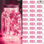 Christmas Yard String Lights 30-Pack, Waterproof