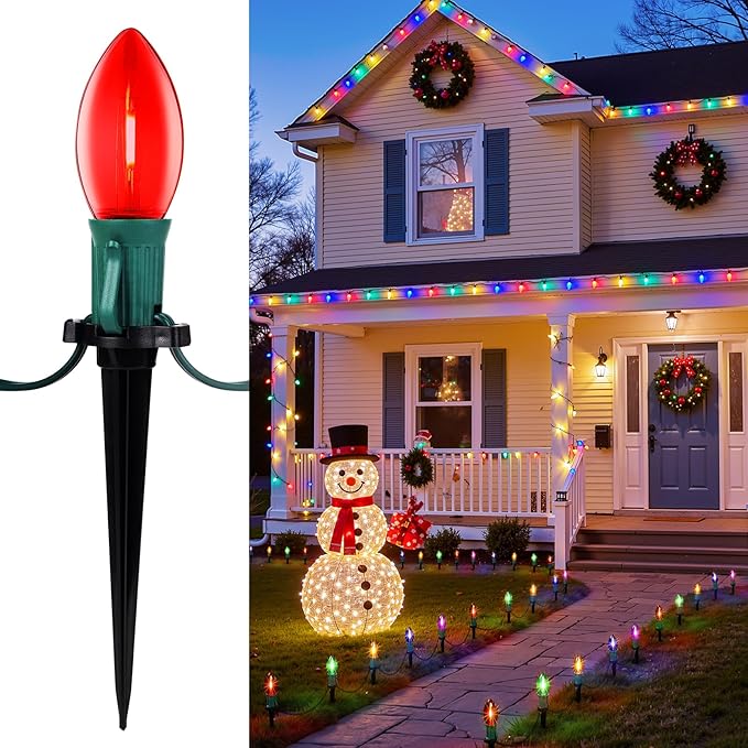 C9 Christmas Lights Outdoor, 25.7ft 20 Bulb Pathway Lights with Stakes, Multicolor