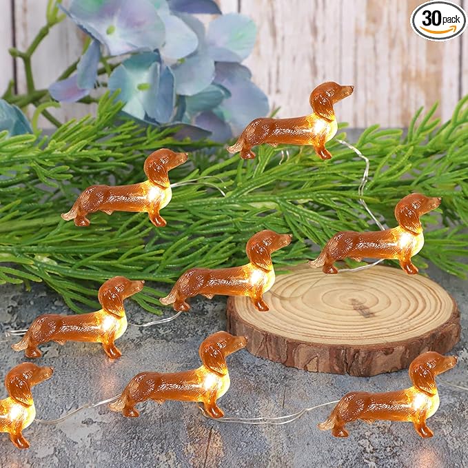 Christmas Yard String Lights, 10ft 30 LED Waterproof